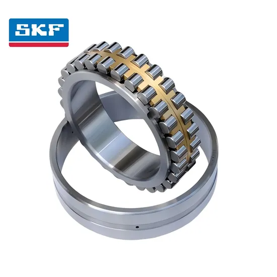 Double Row Cylindrical Roller Bearing Nu1005 Nu1009 Ec P/C3 for High Speed Spindle