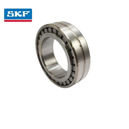 Radial Force Resistant Double Row Cylindrical Roller Bearing Nu2219 Ec J/C3 for Conveyor Systems